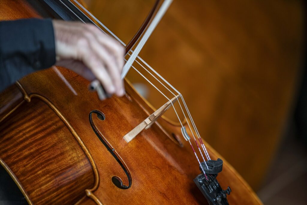 Foto Festival Isola Musicale d'Europa di Daniele Anichini