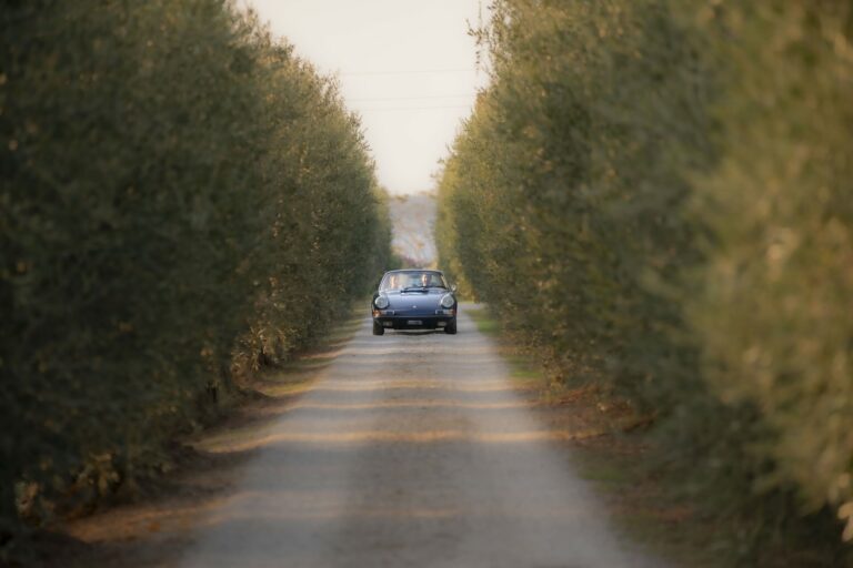 Foto Matrimoni di Daniele Anichini