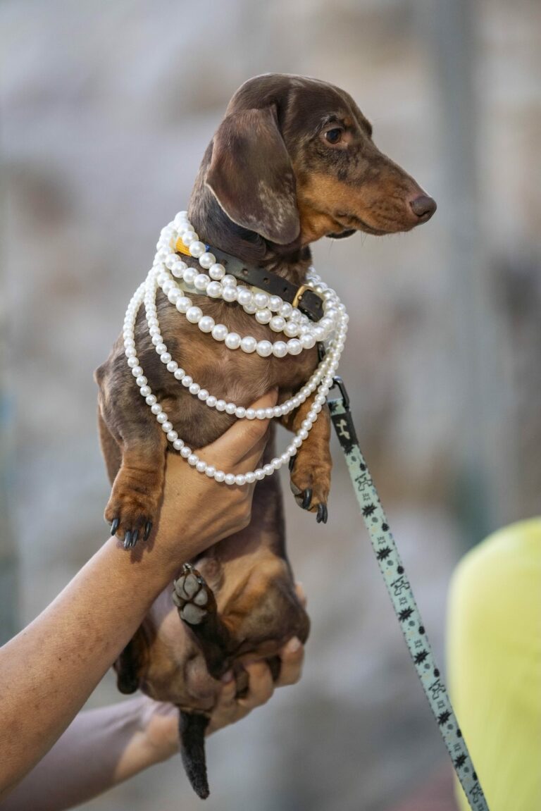 Foto Matrimoni di Daniele Anichini