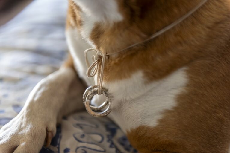 Foto Matrimoni di Daniele Anichini