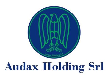 Logo Audax Holding Srl