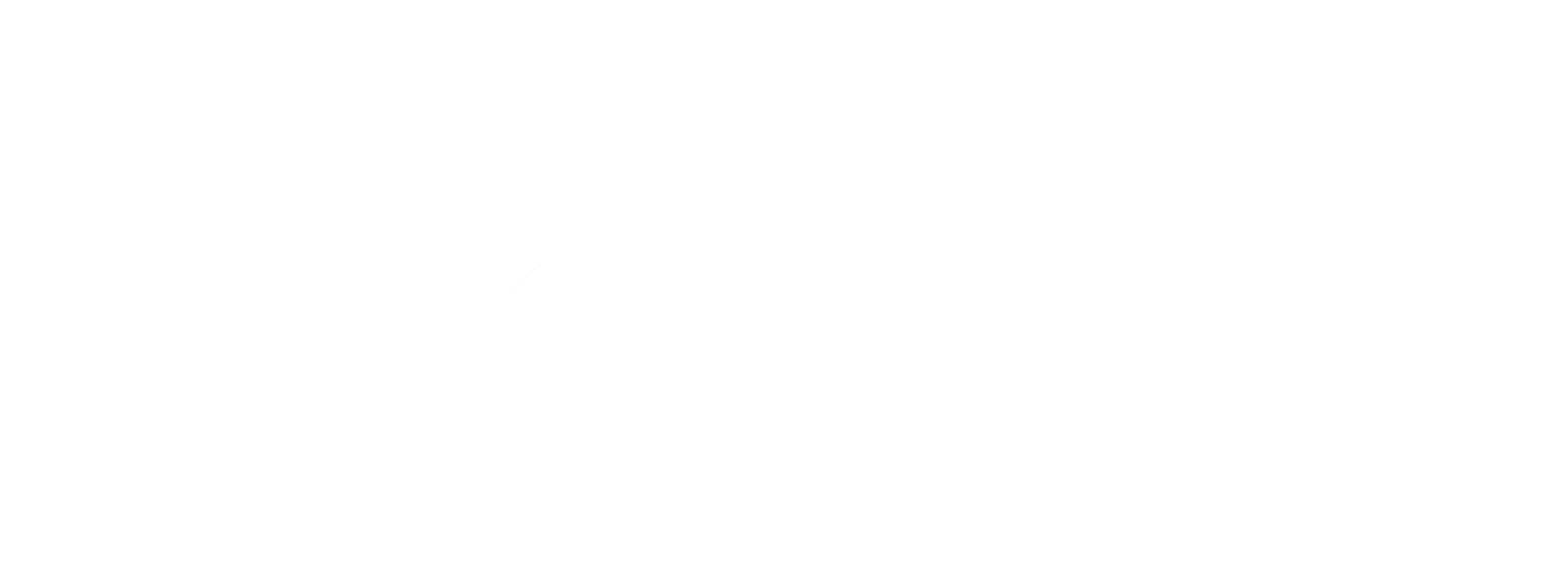 Logo Daniele Anichini bianco